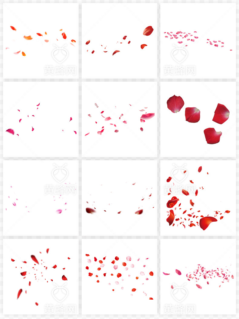 红色花瓣,花瓣,设计元素,设计素材,花瓣素材,花瓣飘落,七夕情人节,