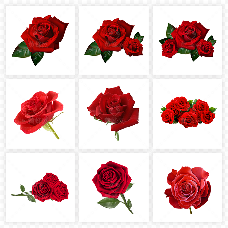 玫瑰花,红玫瑰,玫瑰,花,红色玫瑰,红色玫瑰花,情人节,七夕,七夕情人节,爱情,浪漫,母亲节,520,38女王节,38妇女节,