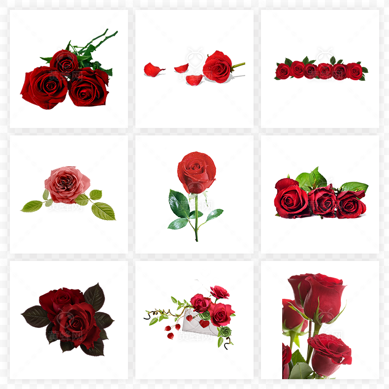 红色玫瑰花,玫瑰花,红玫瑰,玫瑰,花,情人节,浪漫,爱情,鲜花,花束,520,38女王节,38妇女节,