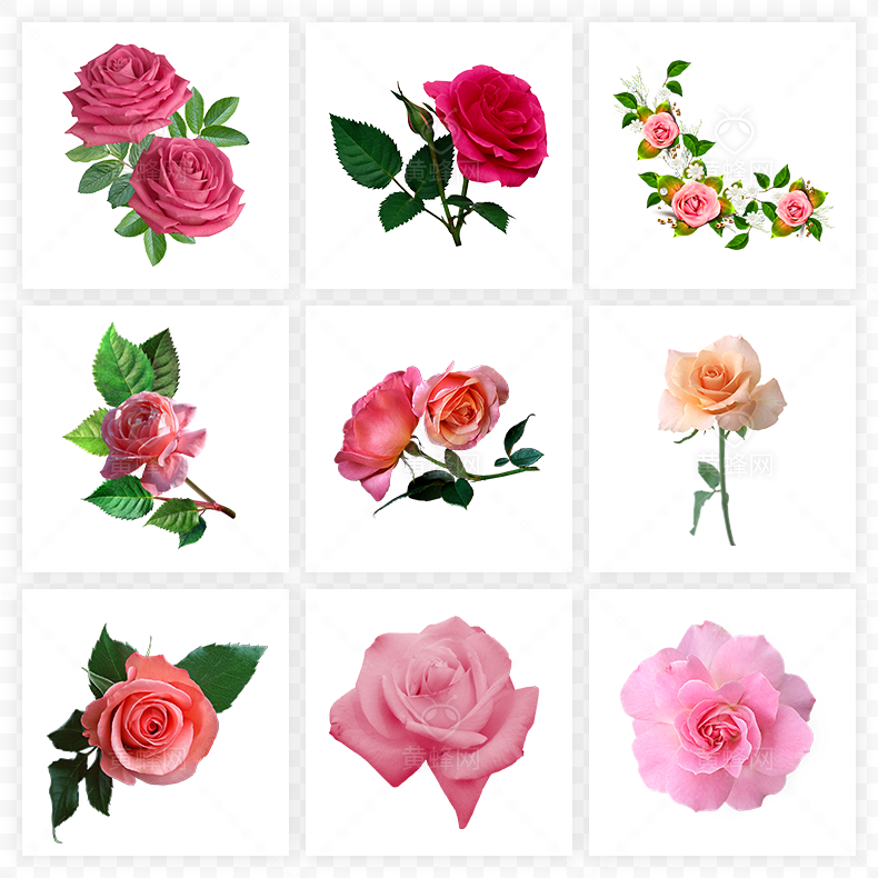 玫瑰花,红玫瑰,玫瑰,花,红色玫瑰,红色玫瑰花,情人节,七夕,七夕情人节,爱情,浪漫,母亲节,520,38女王节,38妇女节,