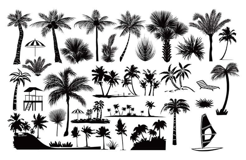 椰树剪影,椰树,海边,夏季,夏日,夏天,椰树矢量,矢量椰树,椰树剪影矢量,矢量椰树剪影,狂暑季,