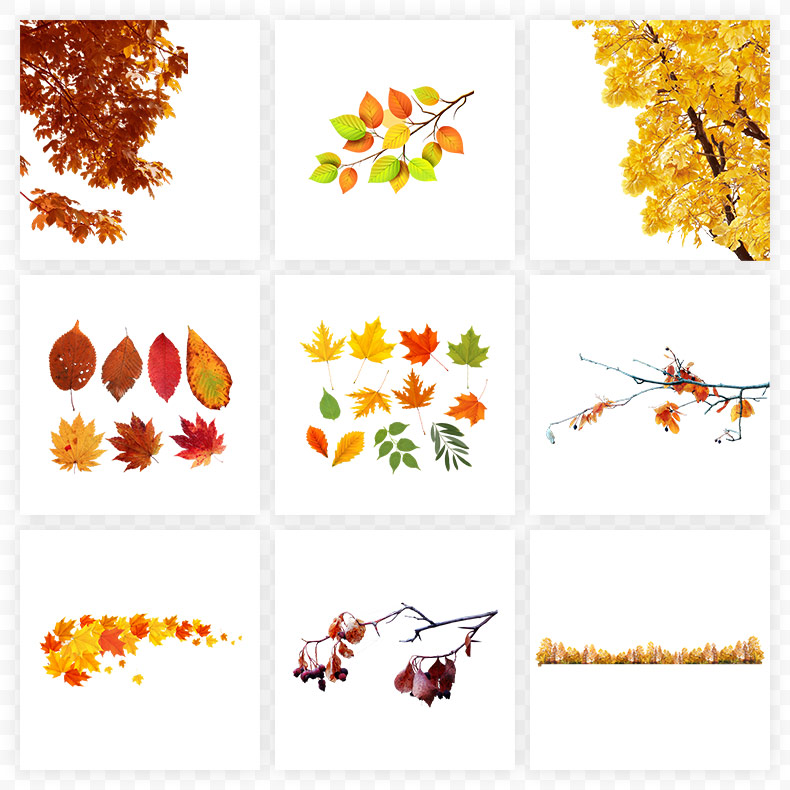 秋天的树叶,秋天,树叶,枫叶,飘落的树叶,深秋,秋季,秋,