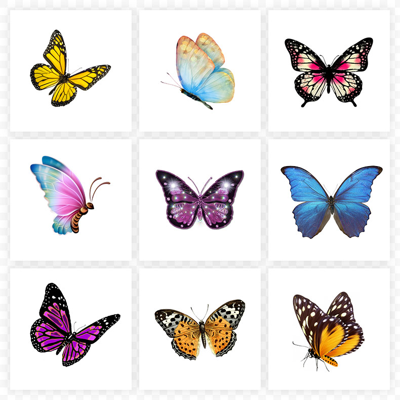 蝴蝶,昆虫,氛围元素,春天,春季焕新,焕新季,