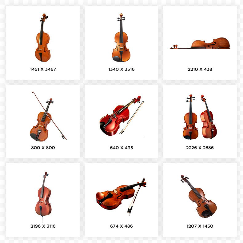 小提琴,提琴,乐器,音乐,音乐会,