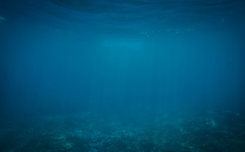 海底,水底,海洋底部,水,夏天,夏季,夏,CC0,免费图片,