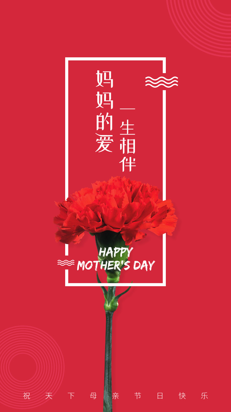 母亲节海报,母亲节手机海报,母亲节banner,康乃馨花,花,漂亮的花,感恩节海报,感恩海报,