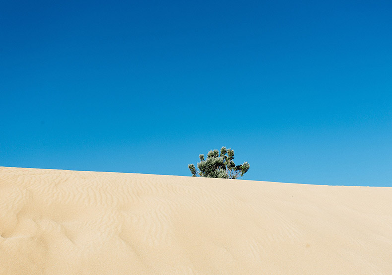 沙漠,沙丘,非洲,炎热,蓝天,CC0,免费图片,