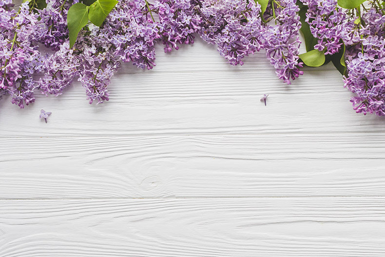 灰色木板,木纹,紫色的花,小清新背景,俯视木板,CC0,免费图片,
