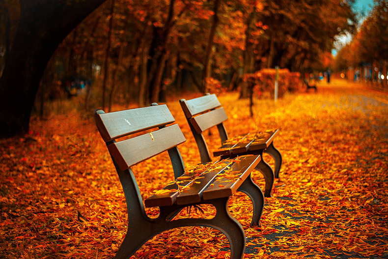 秋天落叶,秋天背景,秋季背景,球,长板凳,秋天公园,秋天风景,风景图片,自然风景,CC0,免费图片,