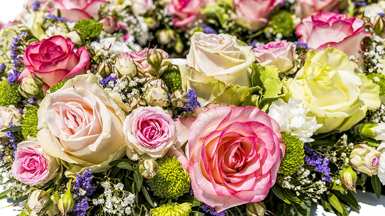 鲜花,花,玫瑰花,粉色玫瑰花,漂亮的花,美丽的花,婚礼,婚庆,结婚,CC0,免费图片,