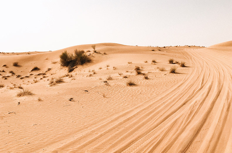 沙漠,沙丘,非洲,炎热,沙,黄沙,自然风景,挑战,CC0,免费图片,
