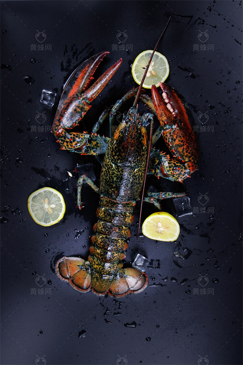 龙虾,海虾,大龙虾,大虾,高清龙虾,高清大龙虾,美味龙虾,海鲜,摄影,餐饮美食,食物原料,