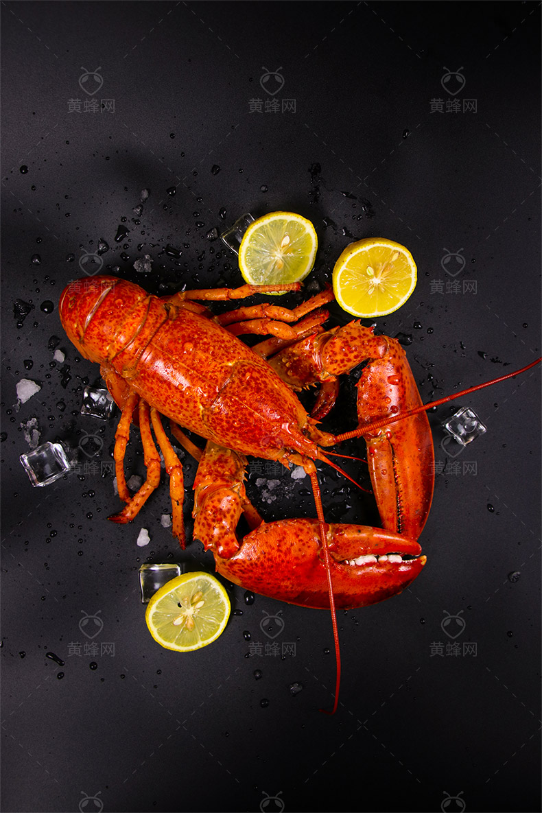 龙虾,海虾,大龙虾,大虾,高清龙虾,高清大龙虾,美味龙虾,海鲜,摄影,餐饮美食,食物原料,