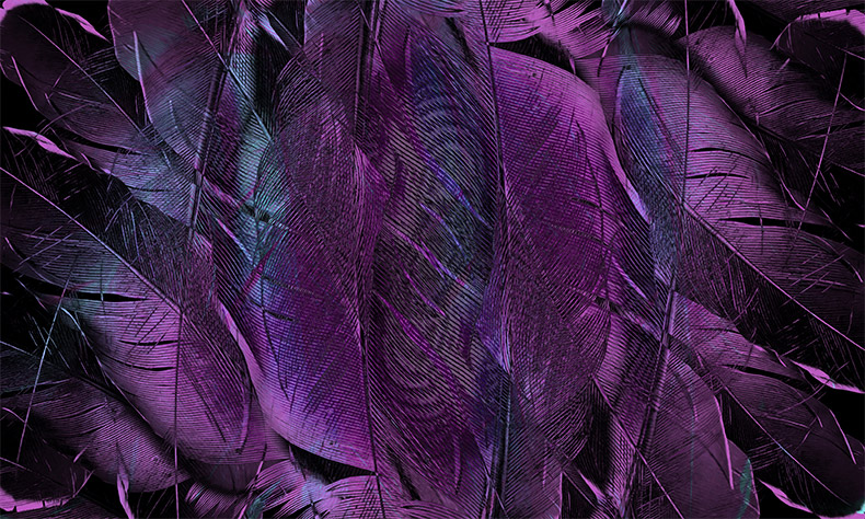 紫色羽毛,抽象背景,底纹肌理,艺术背景,背景图片,CC0,免费图片,