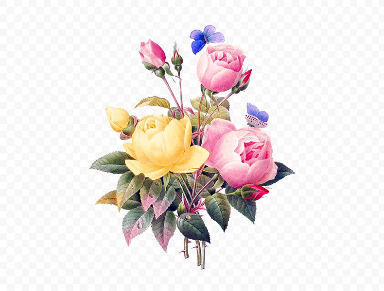 水彩花,花,复古的花,剪贴画,复古花,花卉,玫瑰,粉色玫瑰花,漂亮的花,唯美的花,png,免扣素材,