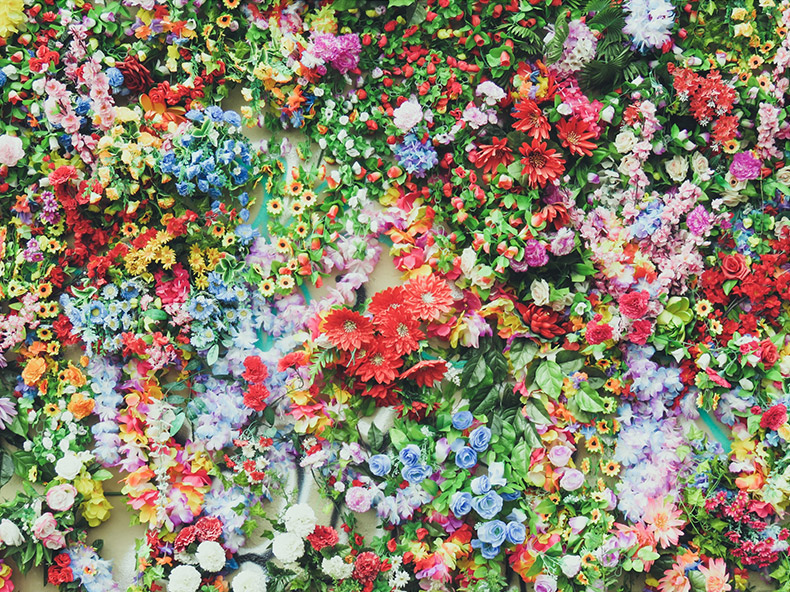 彩色花朵,花朵,花,五颜六色花朵,春天,春季,漂亮的花,CC0,免费图片,