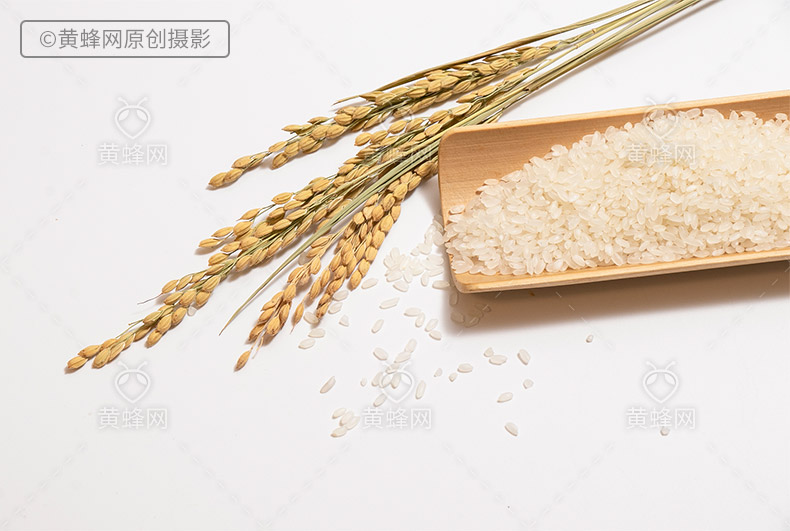 稻穗,稻穗图片,米稻,水稻,成熟的稻穗,成熟的水稻,五谷,五谷杂粮,大米,大米图片,米,