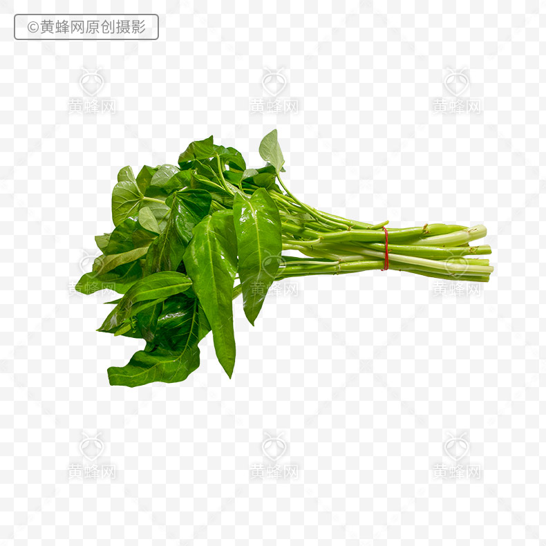 空心菜png免扣素材
