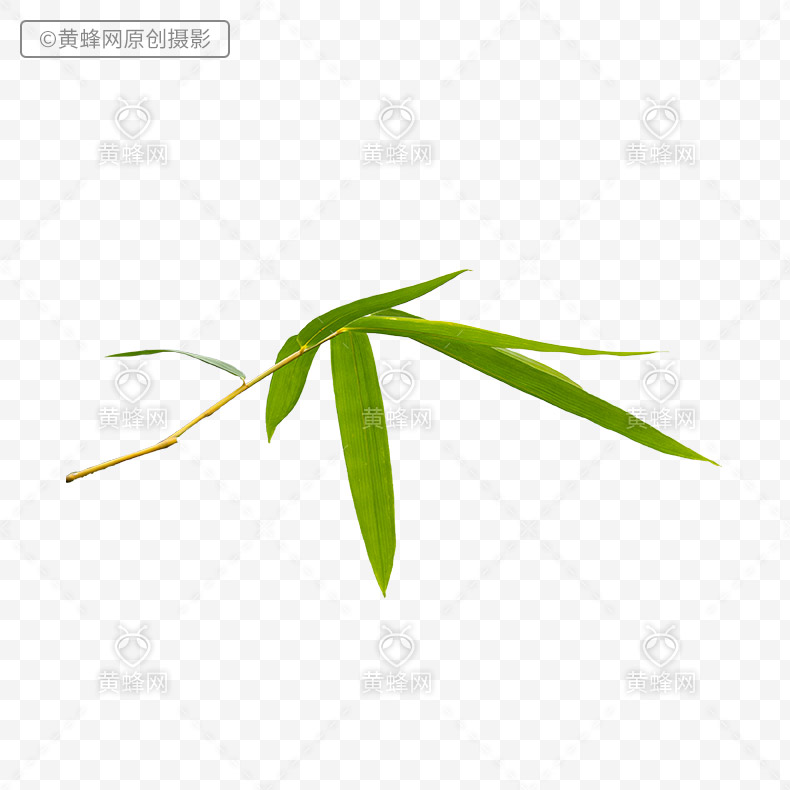 竹叶PNG免扣素材 - 素材 - 黄蜂网 - 原创可商用设计作品