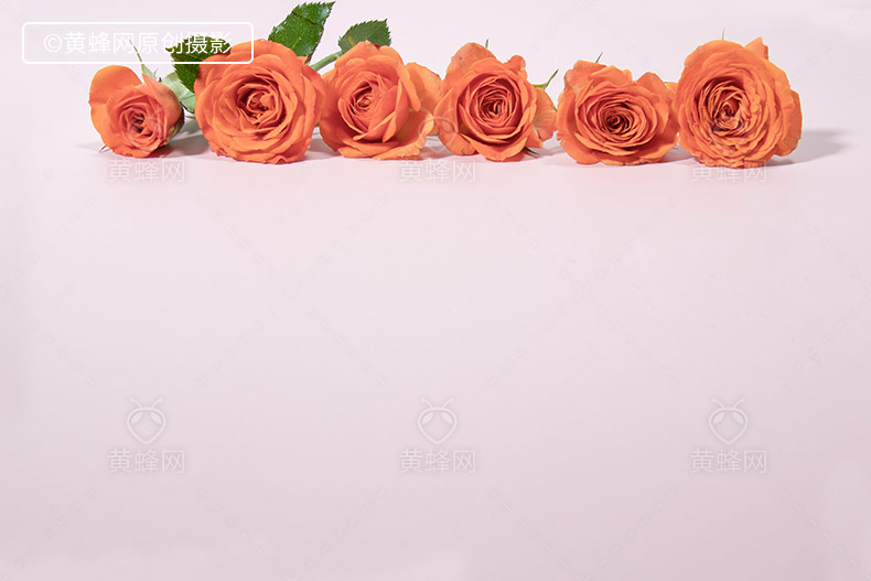 多头玫瑰花,玫瑰花,玫瑰,花,漂亮的花,