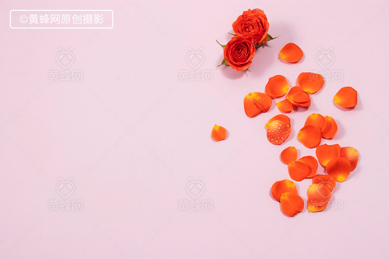 玫瑰花瓣,花瓣,橙色花瓣,橘色花瓣,