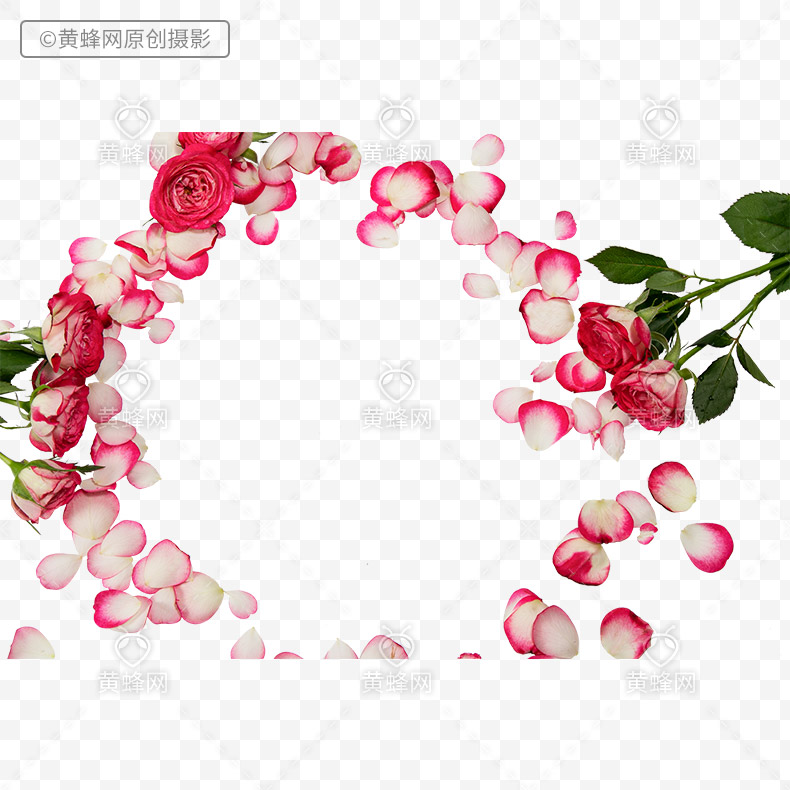 玫瑰花瓣,花瓣,粉色花瓣,png,免扣素材,