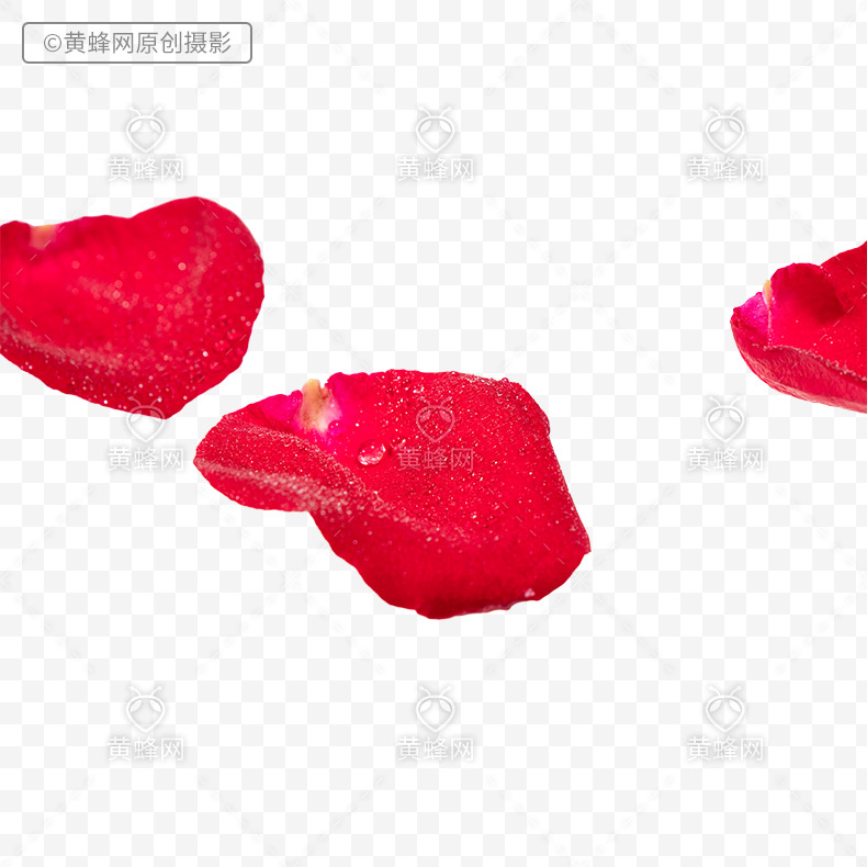 红玫瑰花瓣,玫瑰花瓣,红色花瓣,花瓣,png,免扣素材,