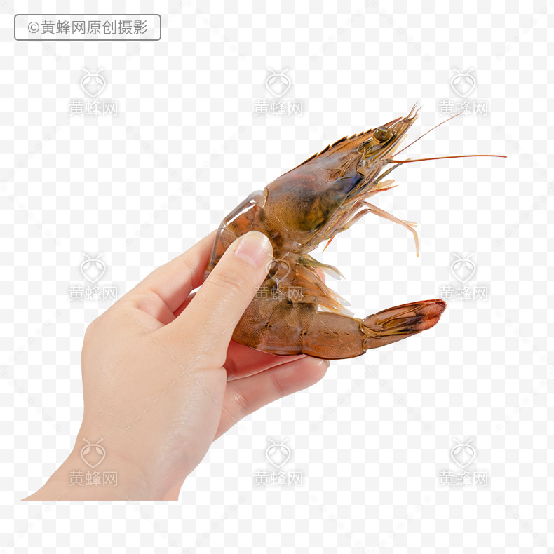 大虾,虾,海虾,手拿着虾,生鲜,海鲜,食品,png,免扣素材,