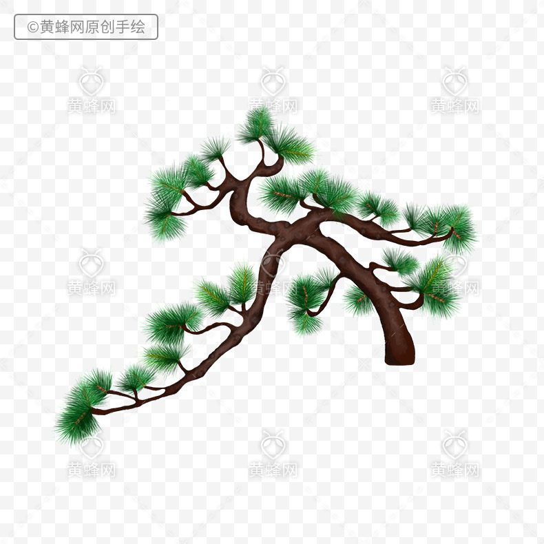 手绘松树枝,松树枝,树枝手绘,树枝,中国风元素,png,免扣素材,