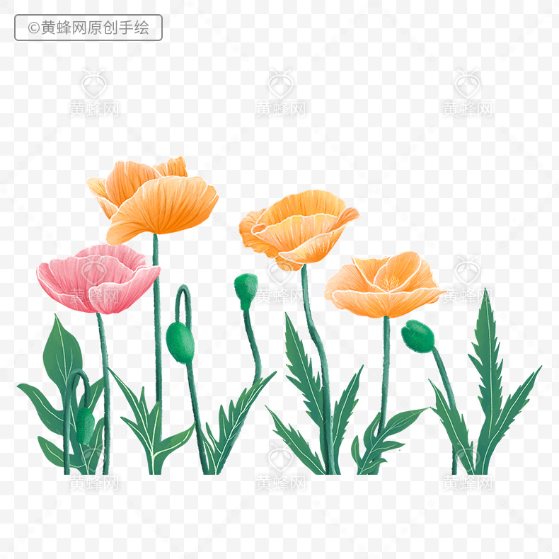 手绘花,花,春天,春季,春,春天的花,png,免扣素材,