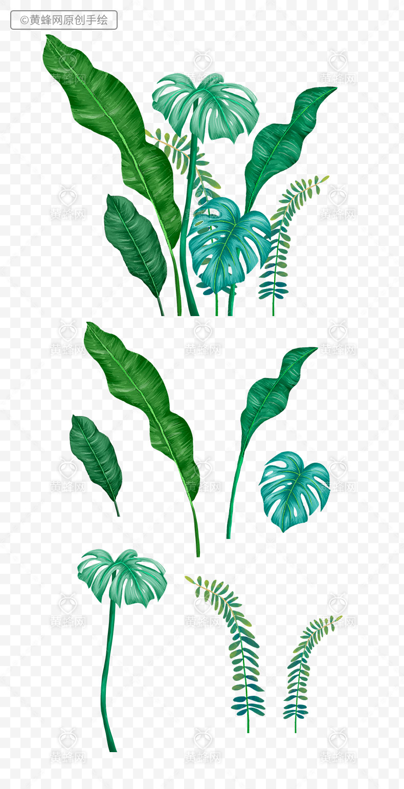 手绘植物叶子,植物叶子,手绘叶子,手绘绿叶,绿叶,夏天,夏季,夏天叶子,热带植物叶子,手绘热带雨林,png,免扣素材,