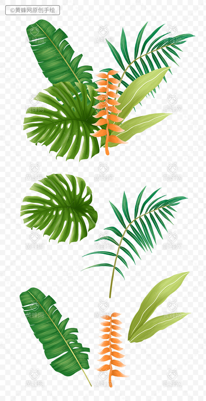 手绘植物叶子,植物叶子,手绘叶子,手绘绿叶,绿叶,夏天,夏季,夏天叶子,热带植物叶子,手绘热带雨林,png,免扣素材,