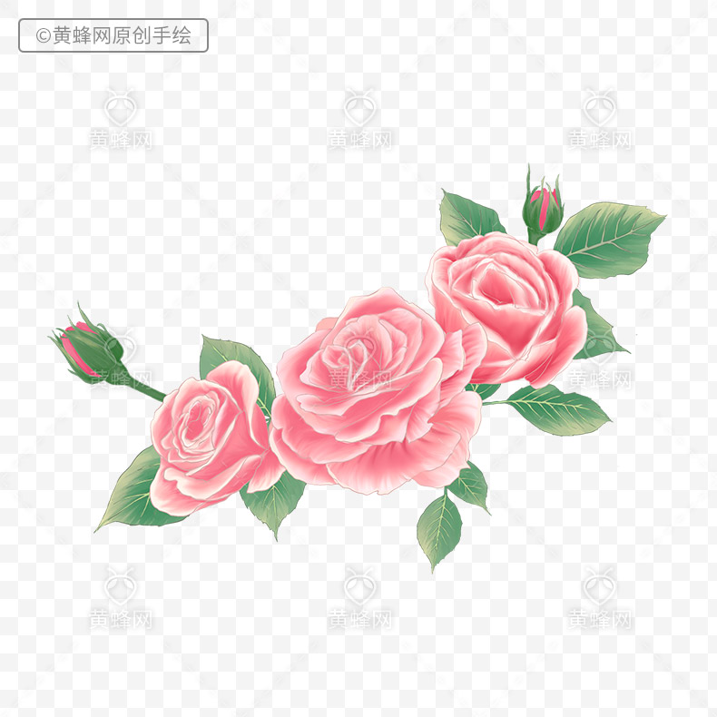 玫瑰花,手绘玫瑰花,粉色玫瑰花,粉色的花,花,情人节,38女王节,女人节,520,母亲节,