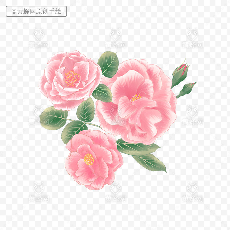 玫瑰花,手绘玫瑰花,粉色玫瑰花,粉色的花,花,情人节,38女王节,女人节,520,母亲节,