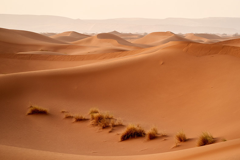 沙漠,沙丘,非洲,炎热,沙,黄沙,自然风景,挑战,CC0,免费图片,