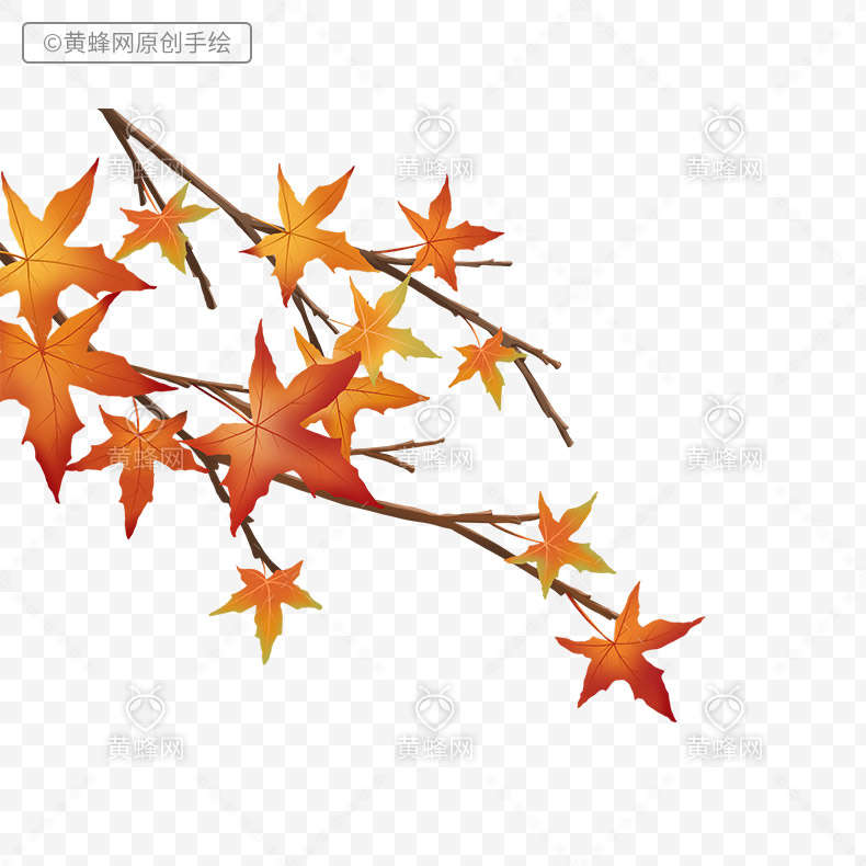 秋天手绘元素,秋天元素,秋季,枫叶,秋天树叶,秋天叶子,png,免扣素材,